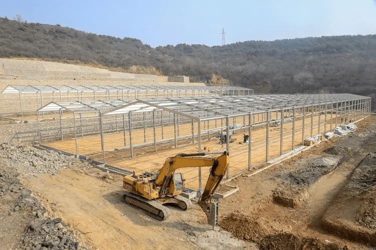 8% Price Advantage and Precise Solutions: Securing the Steel Structure Order for a Southeast Asian Poultry Farm Building