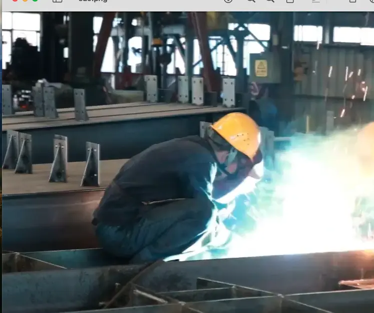 Meeting European Client's Demands: A Case of Steel Structure Order for an Automotive Parts Processing Plant